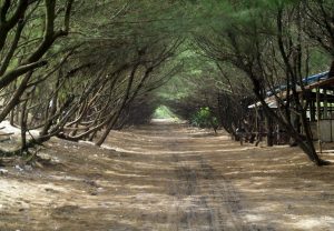 paket wisata bantul jogja