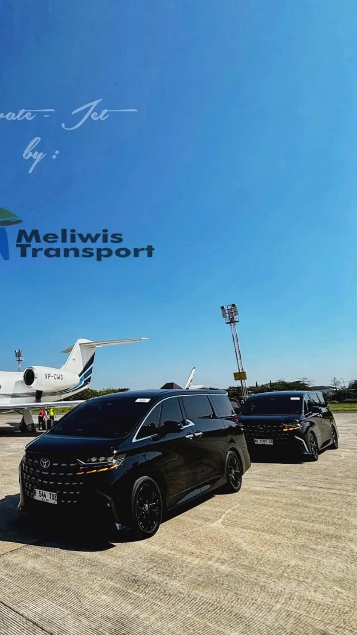 10 Alphard New HEV